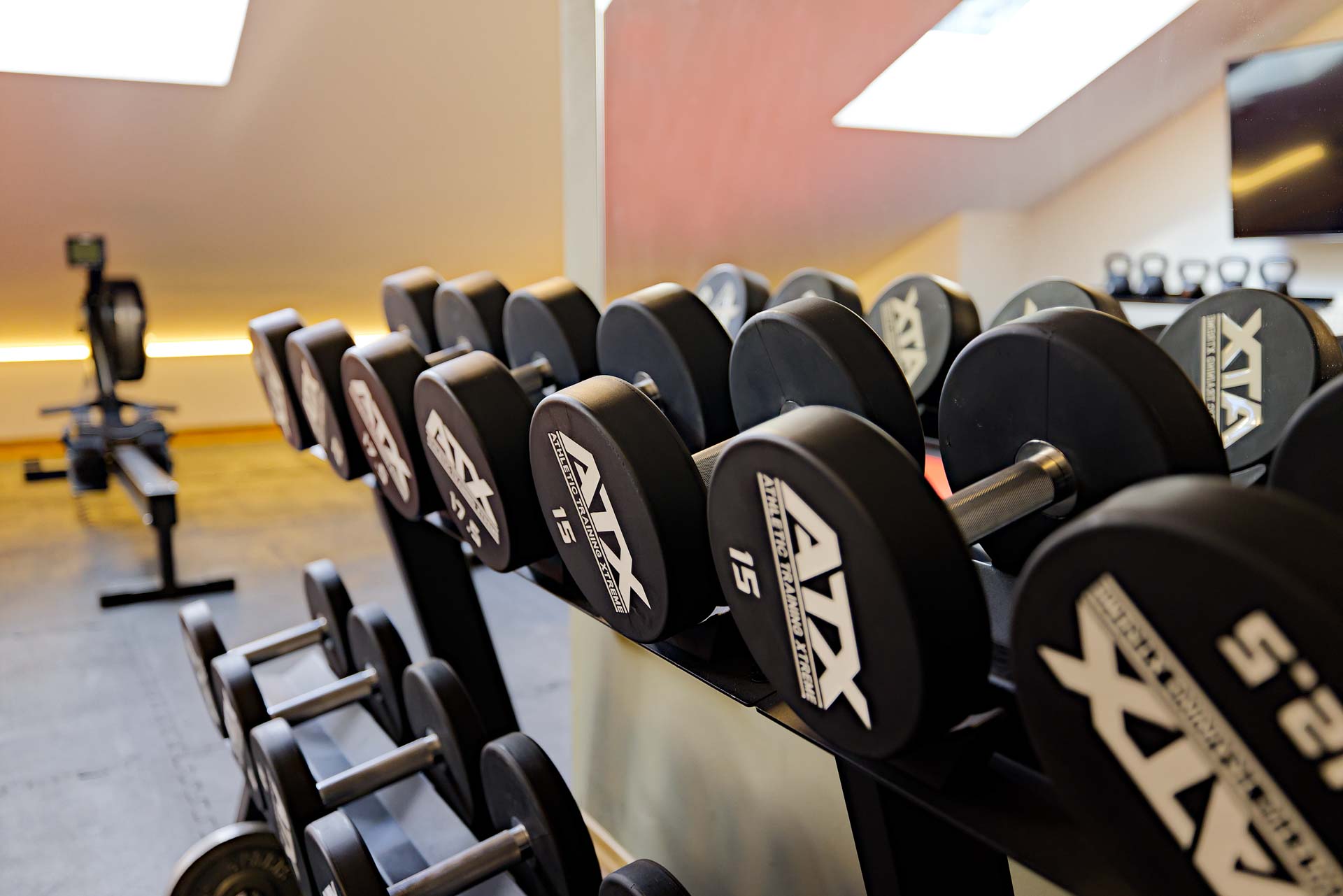 Hanteln in unserem Fitnessbereich